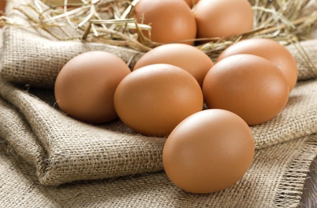 Is Creatine Made Up of Eggs