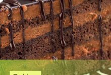 Moist chocolate cake recipes from scratch