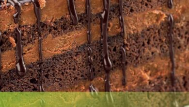 Moist chocolate cake recipes from scratch