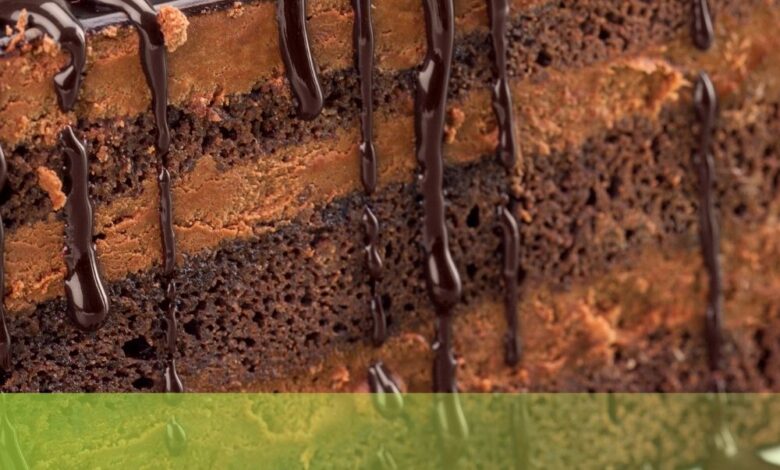Moist chocolate cake recipes from scratch